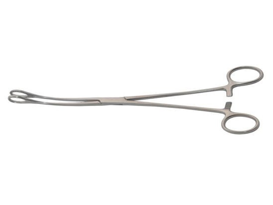 Sponge Holding Forceps