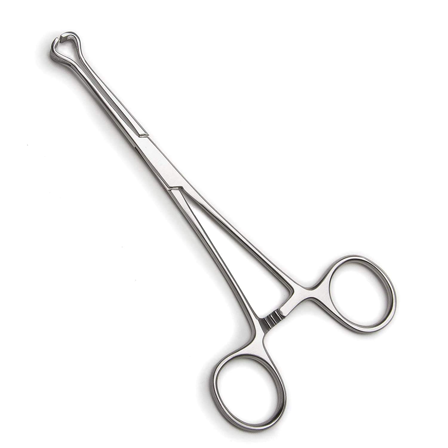 Babcock Forceps inches